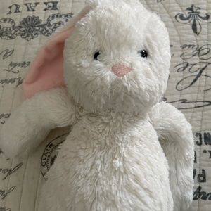White Bunny with Pink Ears
